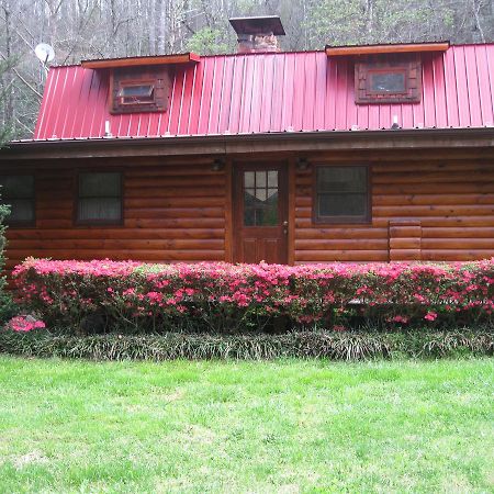 Buffalo Creek Bed And Breakfast 罗宾斯维尔 外观 照片