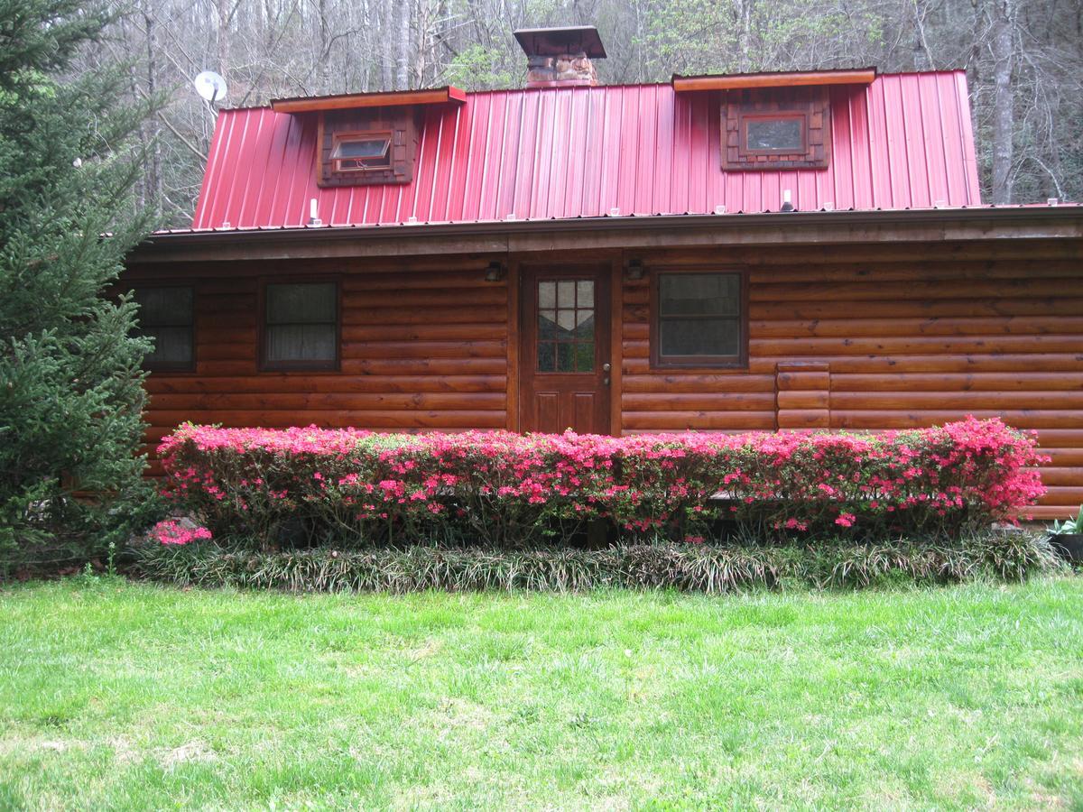 Buffalo Creek Bed And Breakfast 罗宾斯维尔 外观 照片