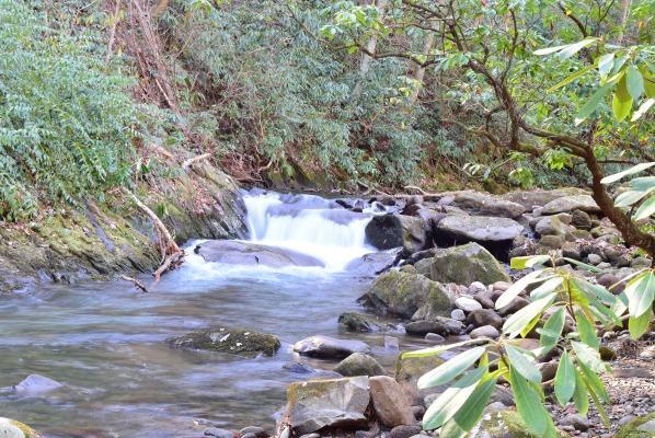 Buffalo Creek Bed And Breakfast 罗宾斯维尔 外观 照片