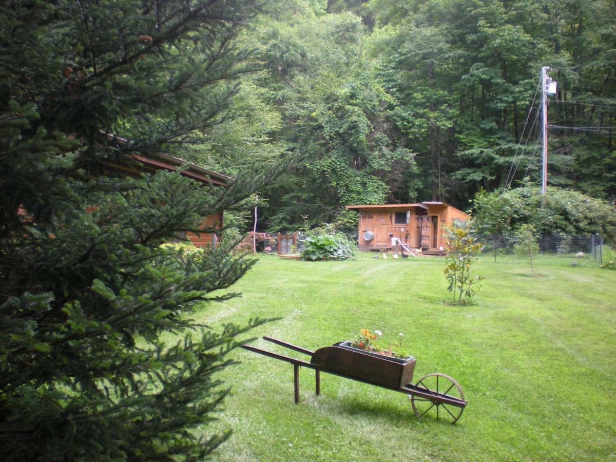 Buffalo Creek Bed And Breakfast 罗宾斯维尔 外观 照片